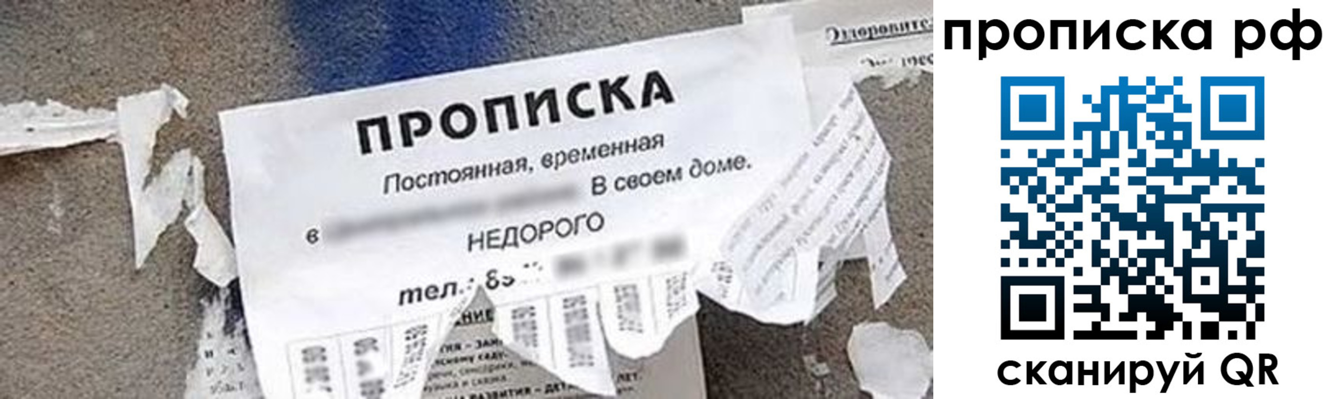 где прописаться в Мурино